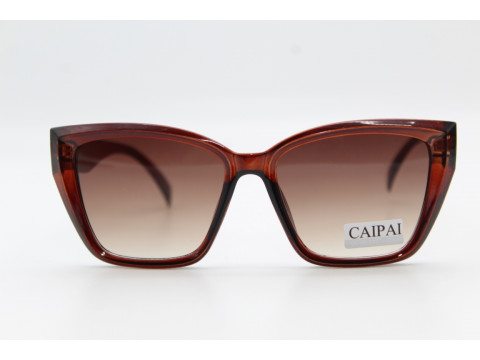 Солнцезащитные очки CAIPAI  8762 54-18-143 C2
