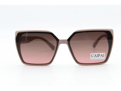 Солнцезащитные очки CAIPAI  8734 62 13-143 C4